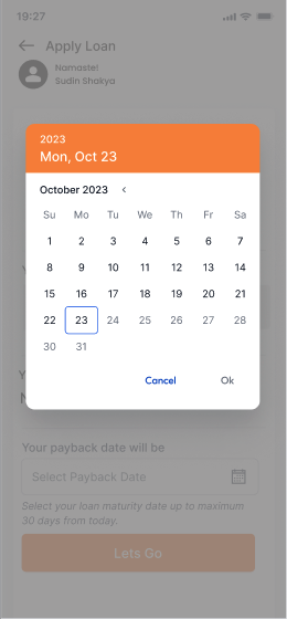 Choosing Repayment Date