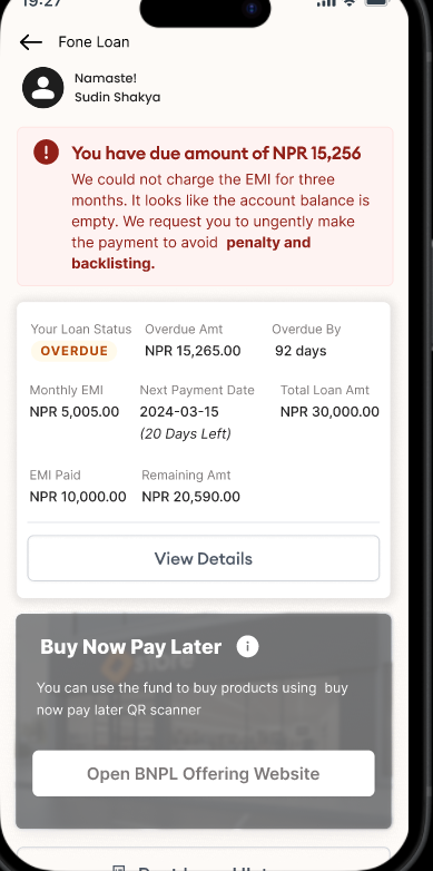 Emi Default Loan Details