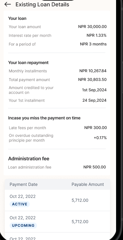Emi Loan Detail Active